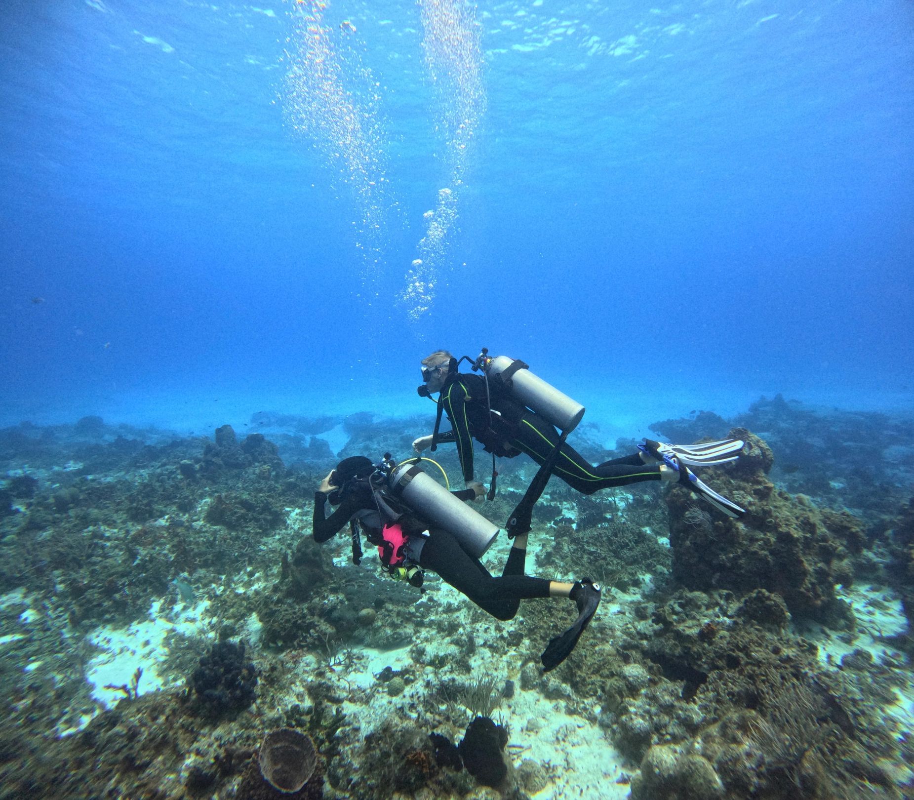 Scuba diving couple exploring coral reef